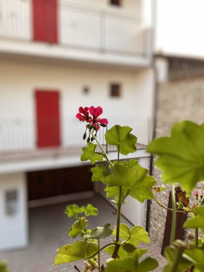 La Volpe Rossa Rooms And Apartments Сан-Феліче-дель-Бенако Екстер'єр фото